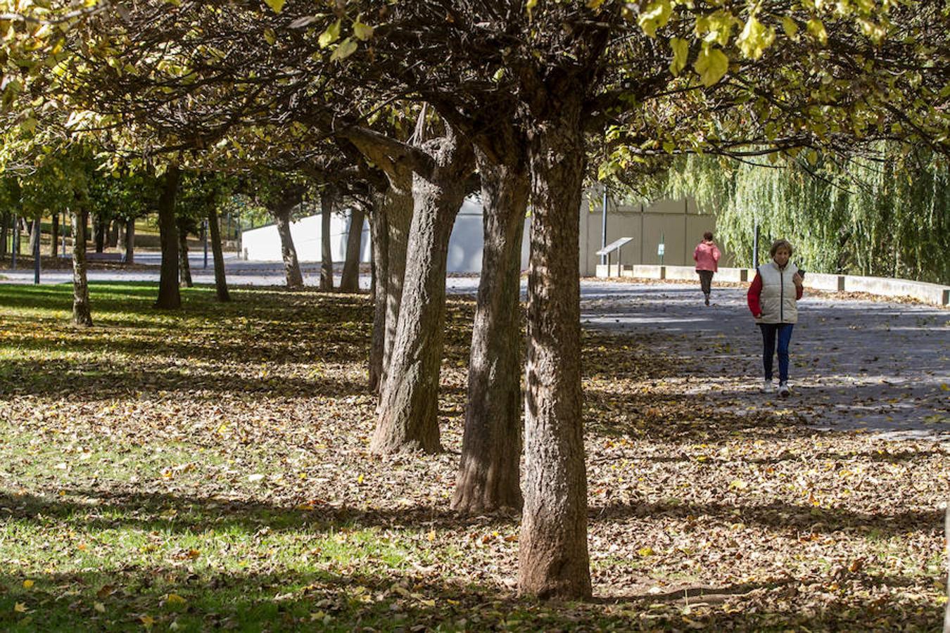 El otoño en Logroño