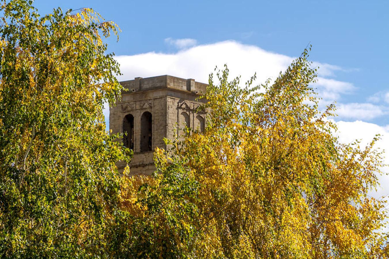 El otoño en Logroño