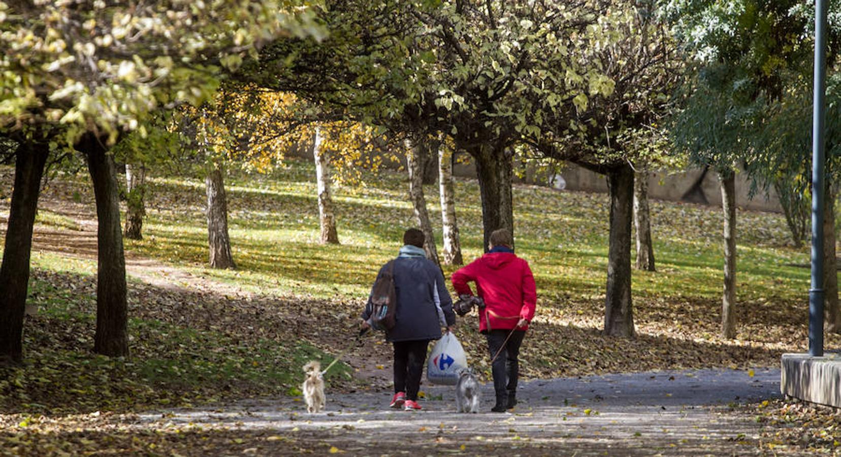 El otoño en Logroño