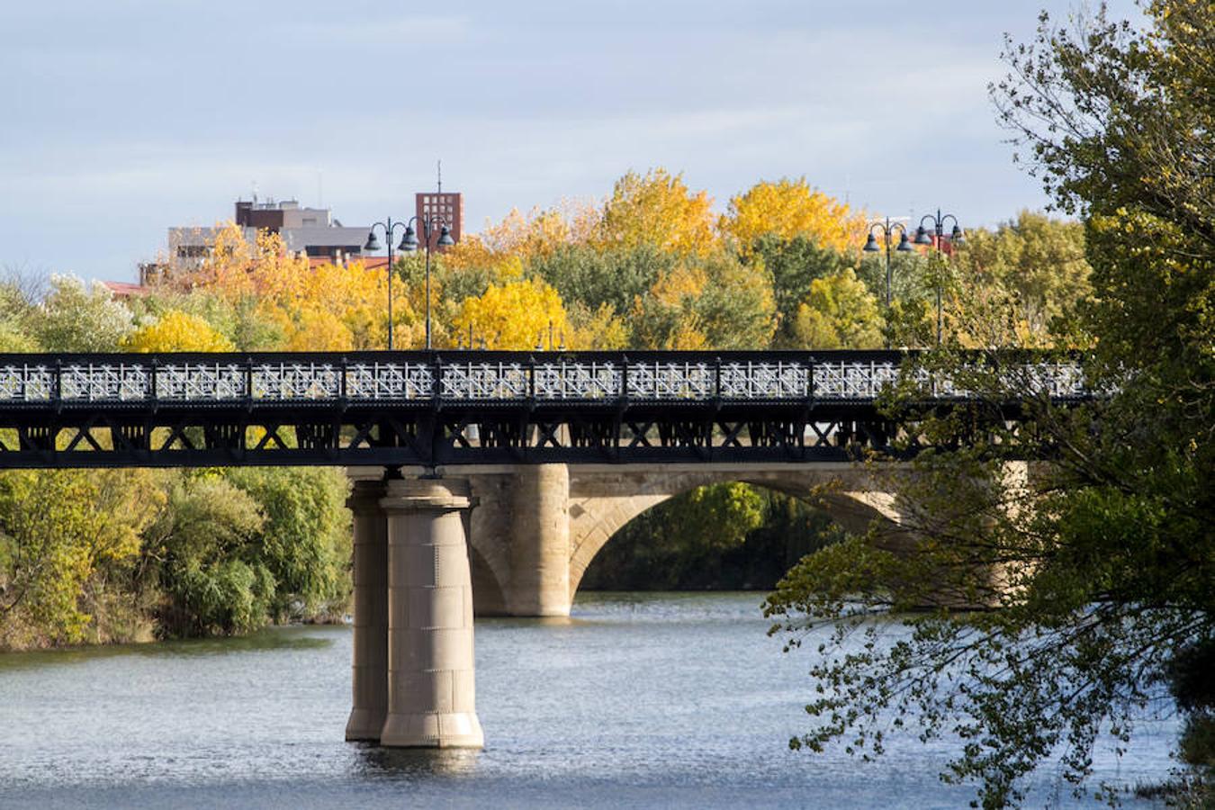 El otoño en Logroño