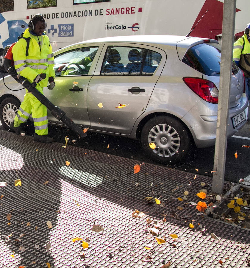 El otoño en Logroño