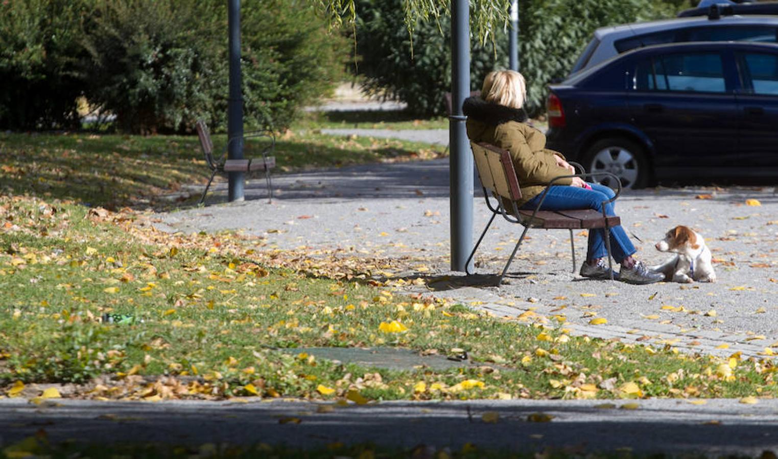 El otoño en Logroño