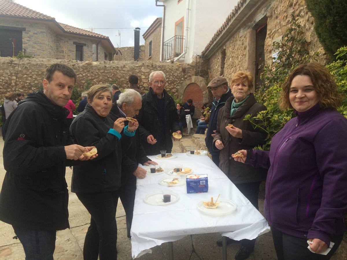 XXIII Jornadas Micológicas de Villarroya