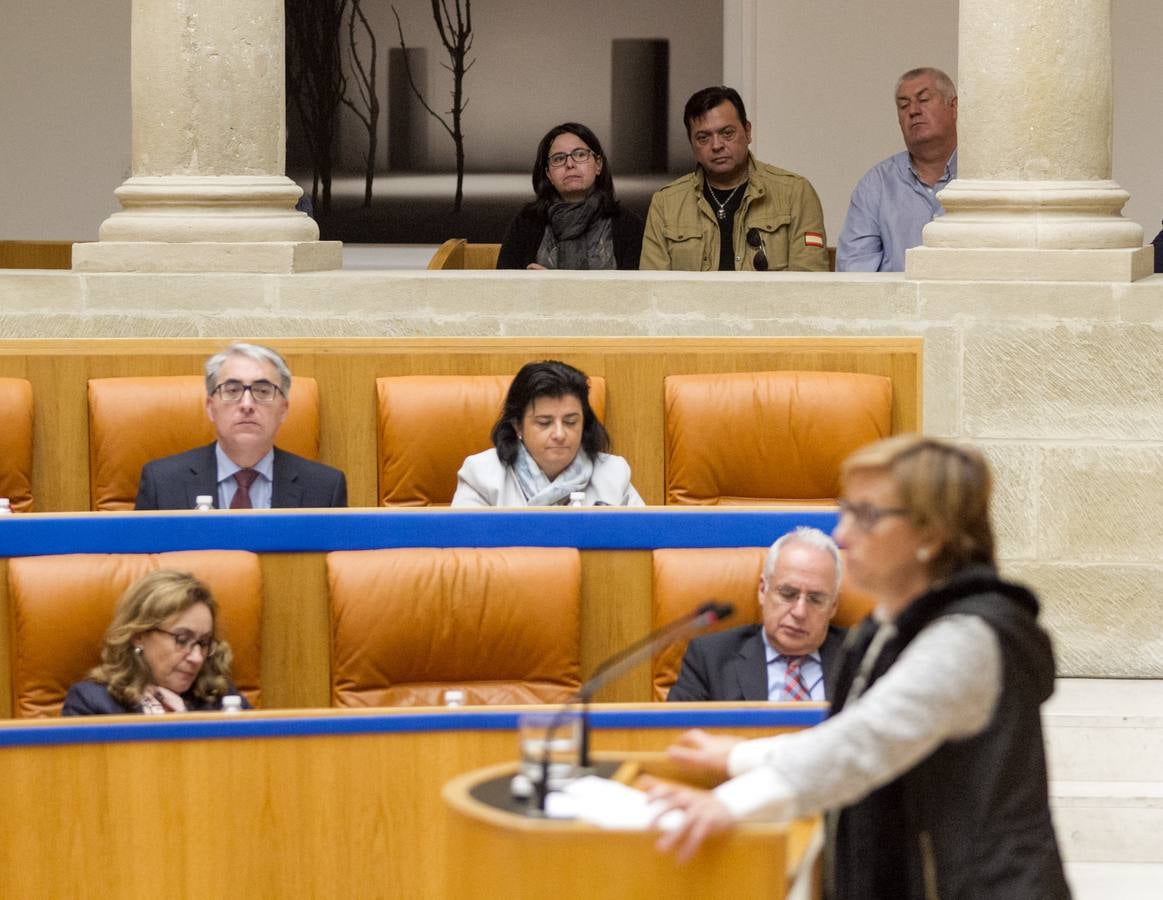 Los gestos del pleno del Parlamento riojano