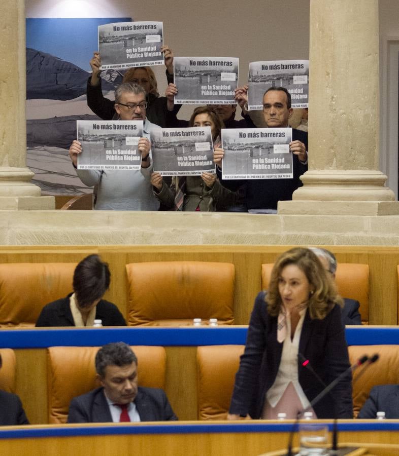 Los gestos del pleno del Parlamento riojano