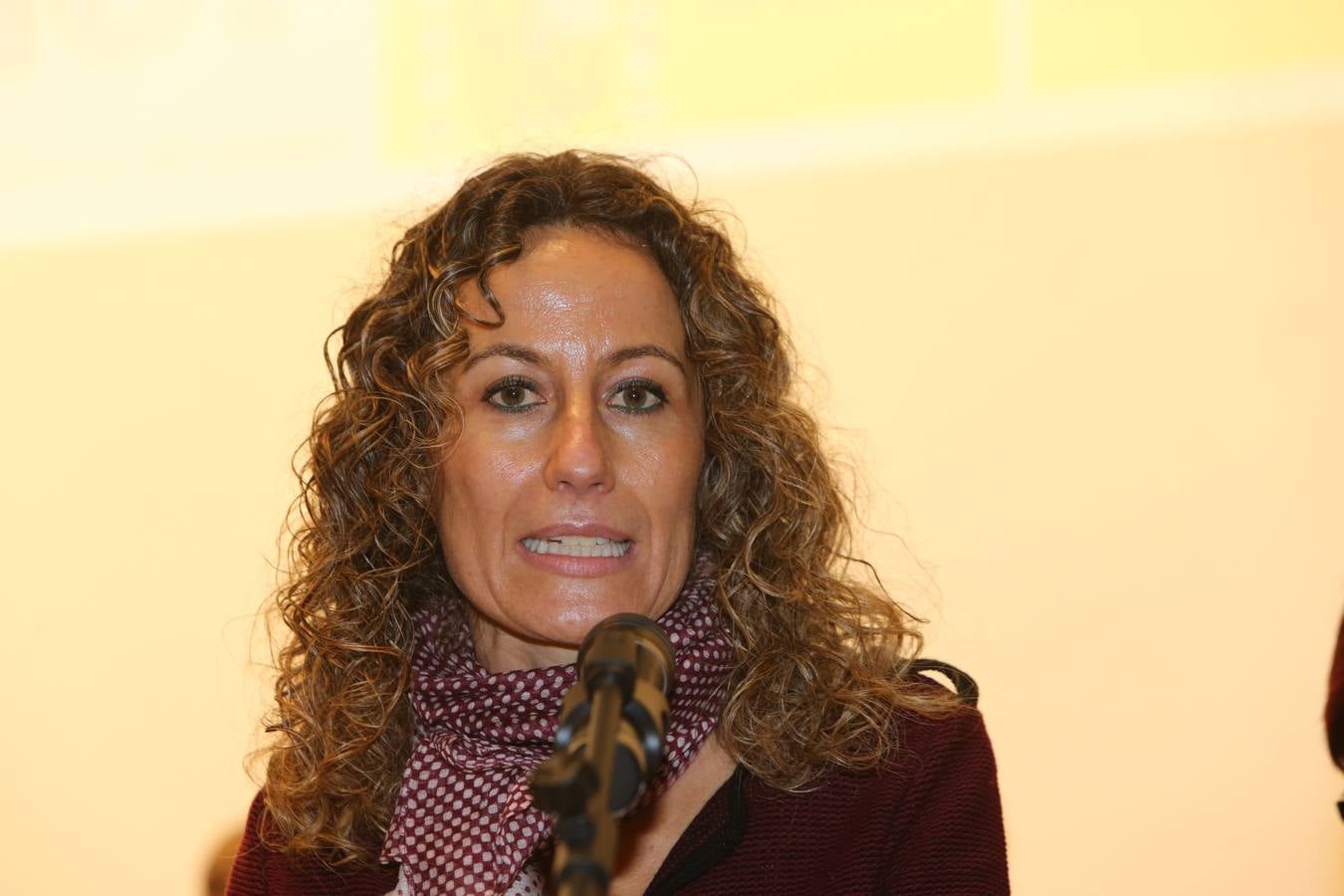 V Reconocimientos Contra la Violencia de Género