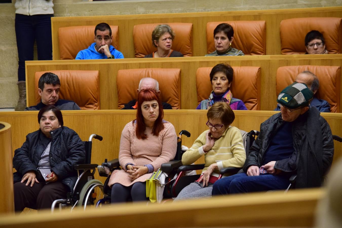 Acto del Día de la Discapacidad en el Parlamento riojano