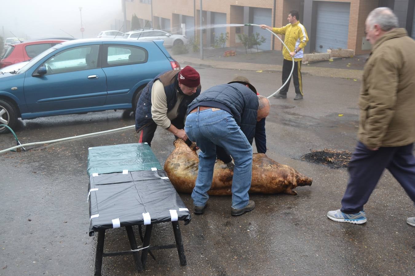 Celebración de la matanza extremeña en Ventosa