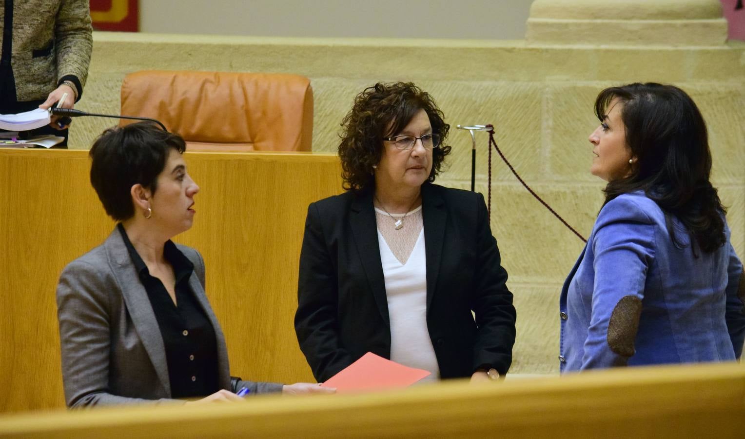 Una mañana en el Pleno del Parlamento riojano