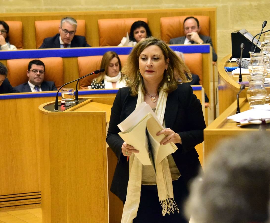 Una mañana en el Pleno del Parlamento riojano