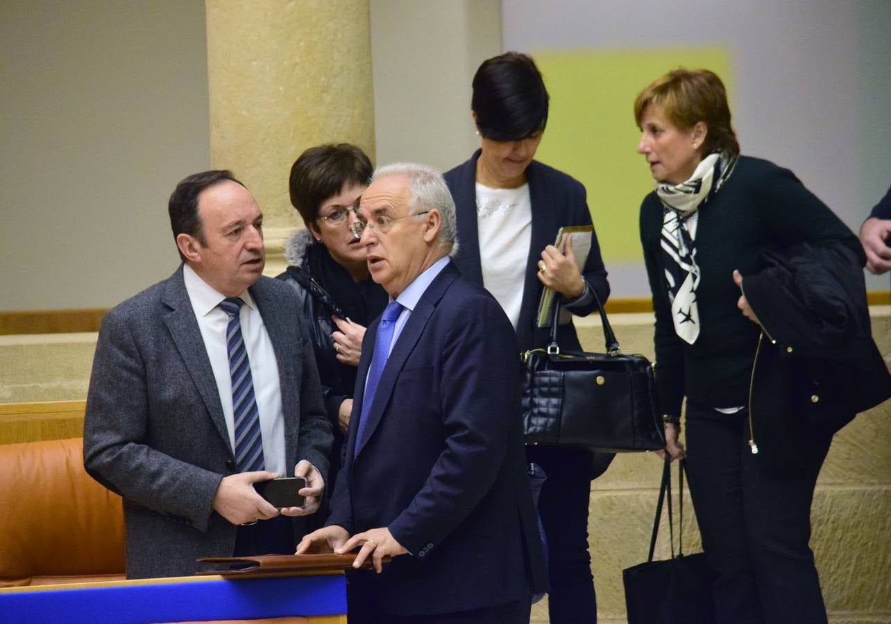 Una mañana en el Pleno del Parlamento riojano