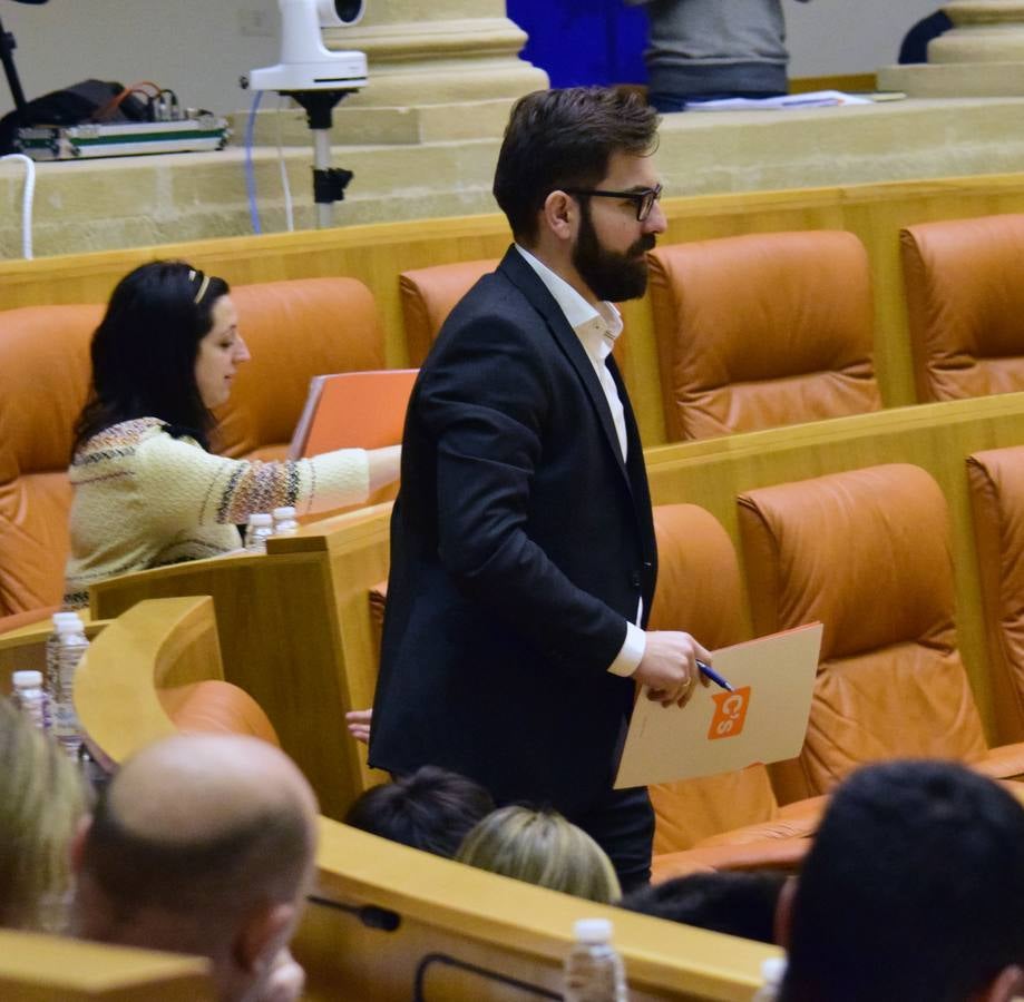 Una mañana en el Pleno del Parlamento riojano