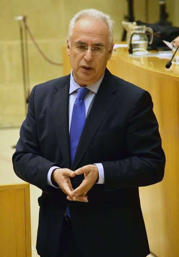 Una mañana en el Pleno del Parlamento riojano