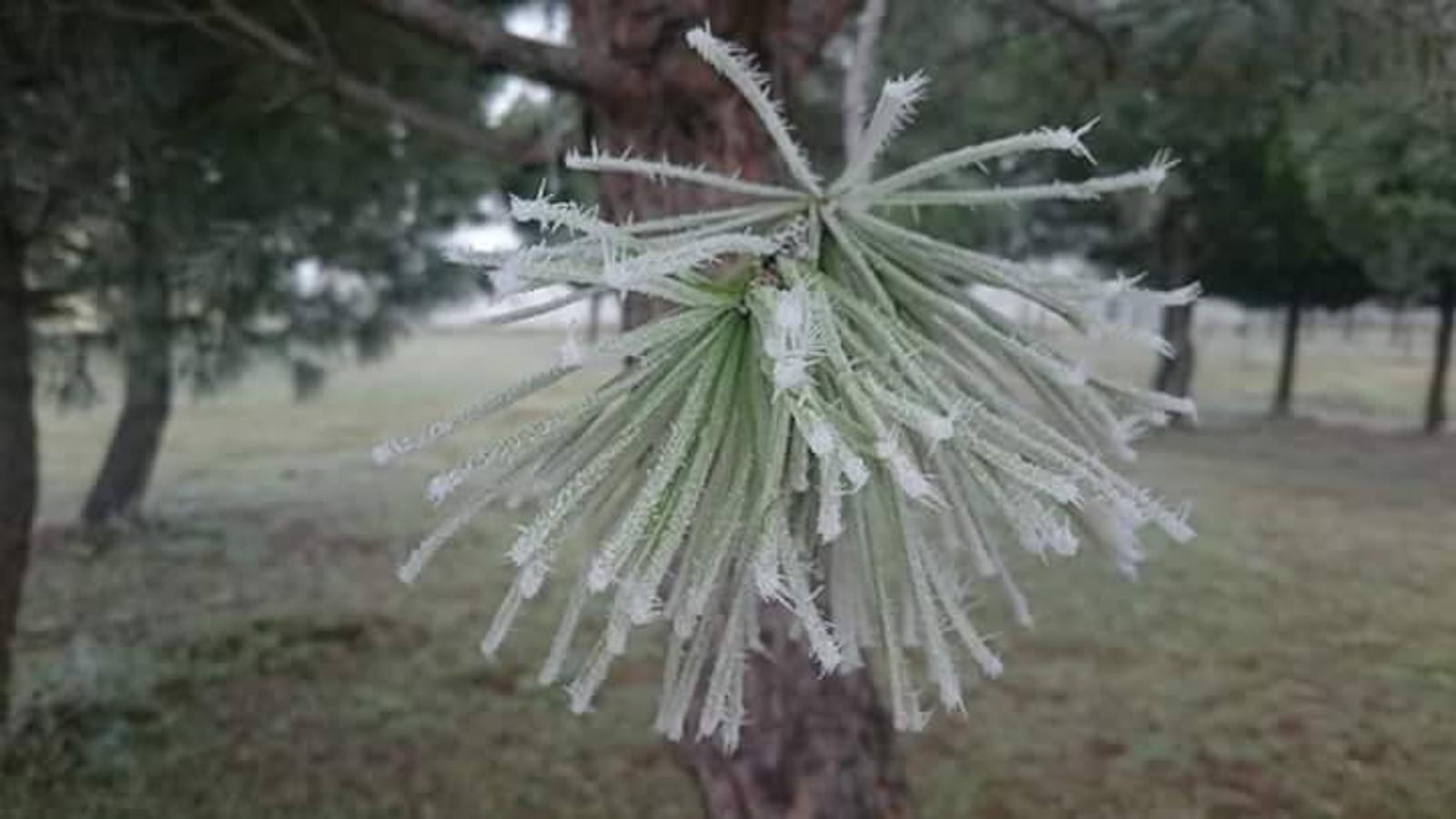 Las imágenes del frío de los lectores