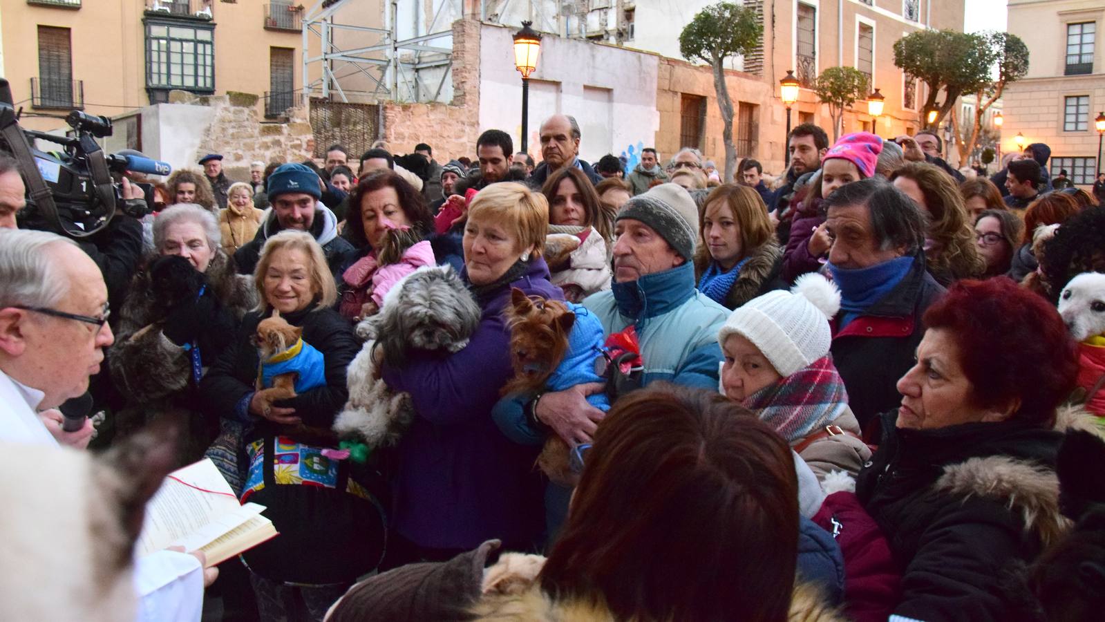 Festividad de San Antón en la Plaza de San Bartolomé de Logroño