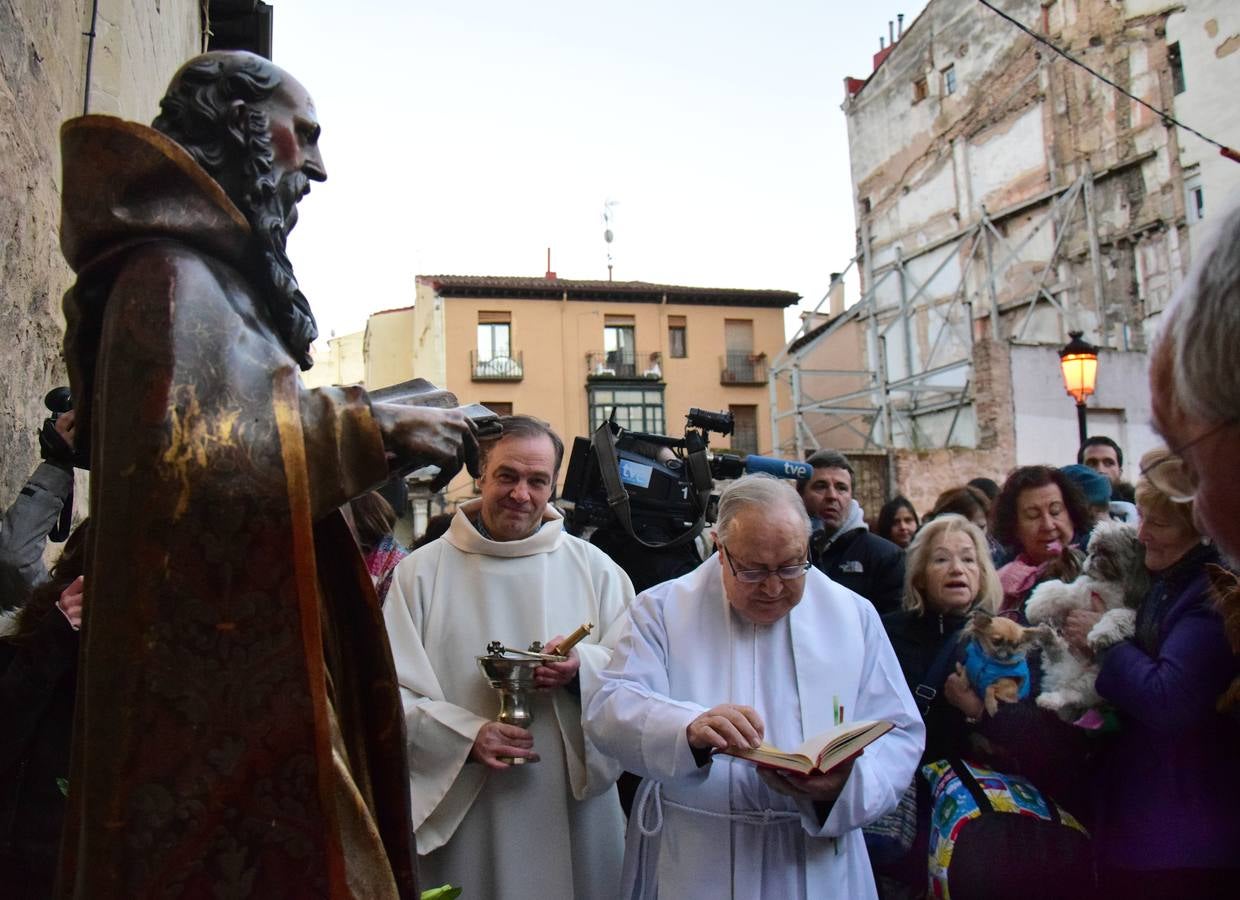 Festividad de San Antón en la Plaza de San Bartolomé de Logroño