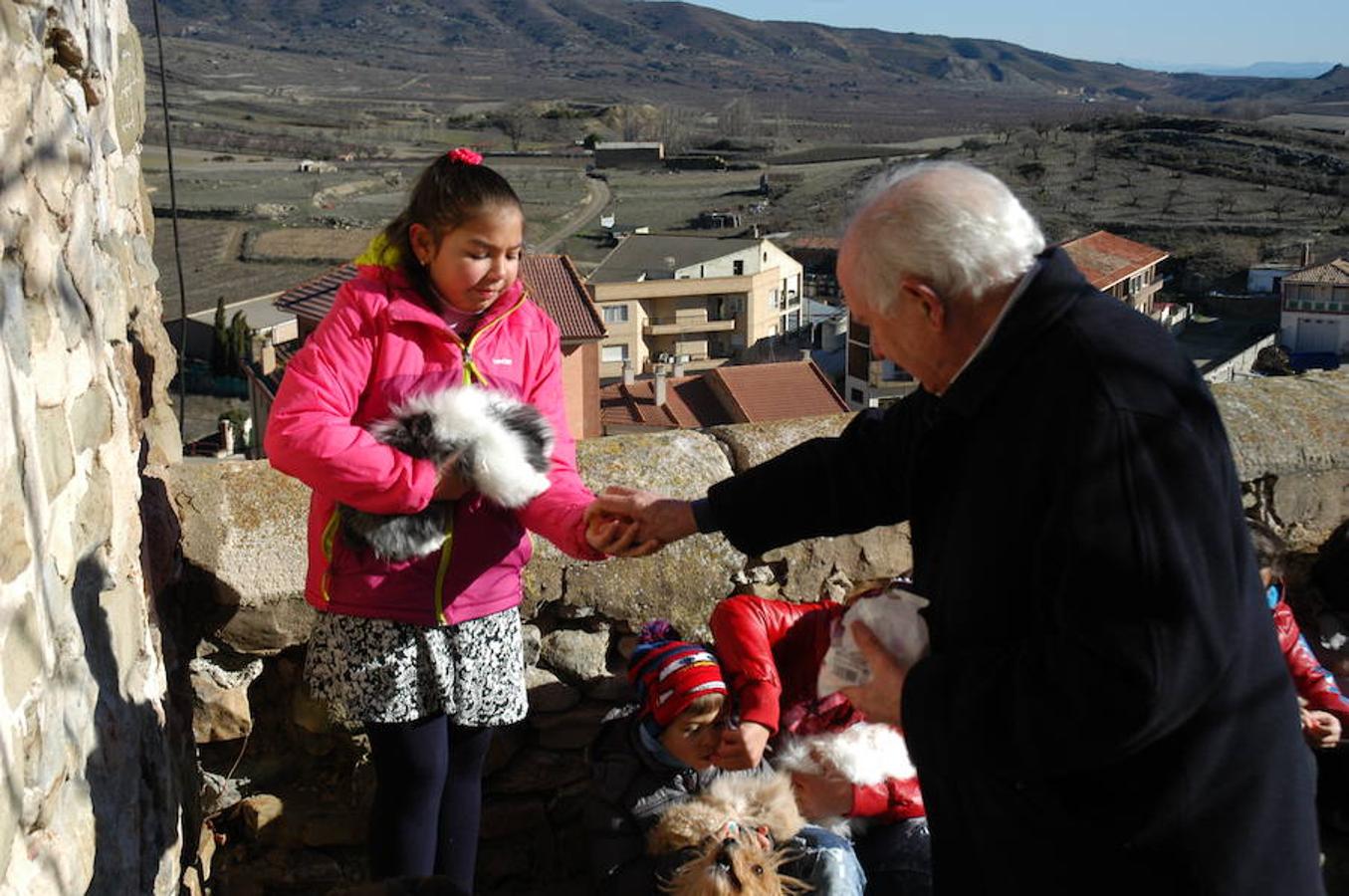 Grávalos festeja San Antón