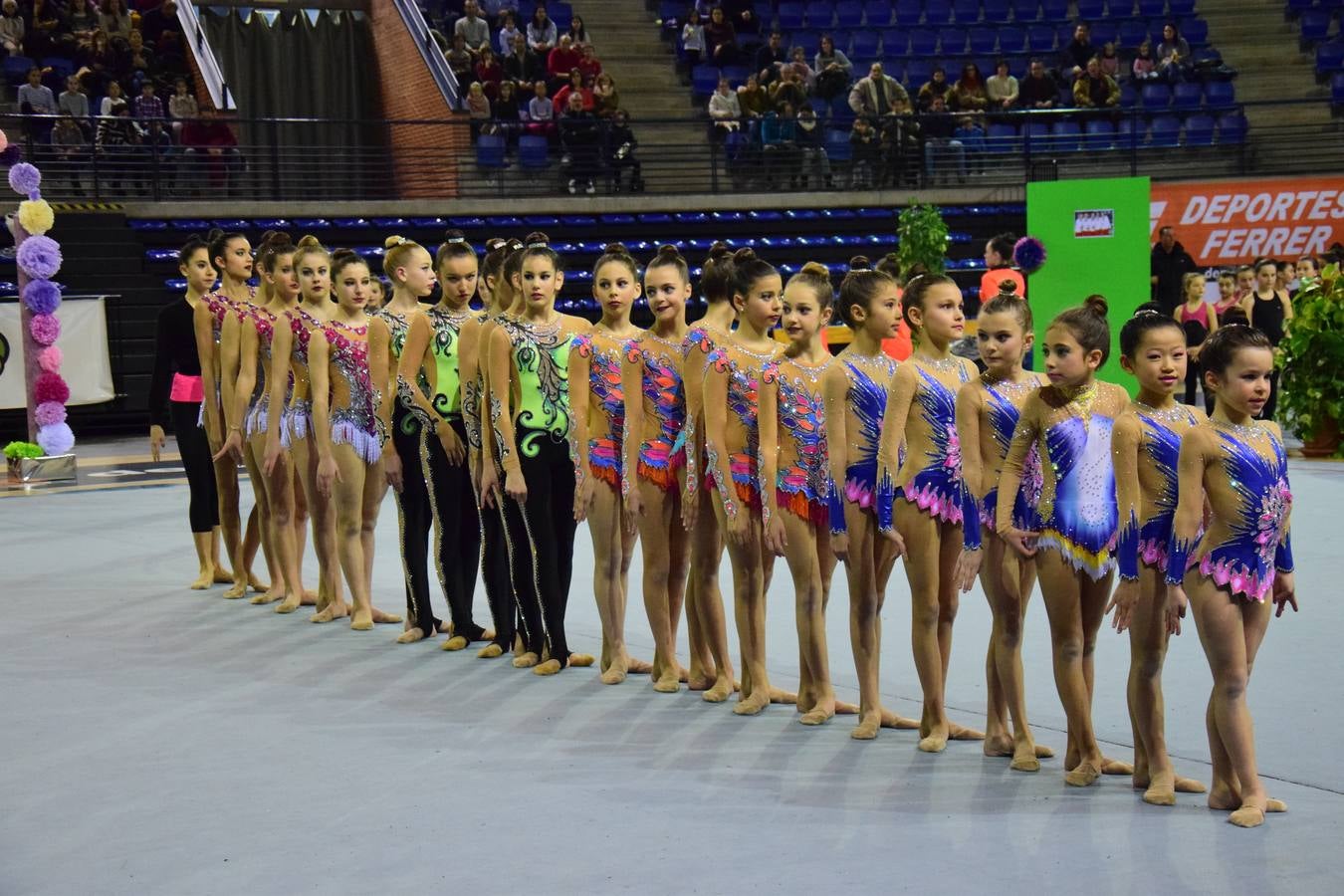 La selección de gimnasia rítimica, en Logroño