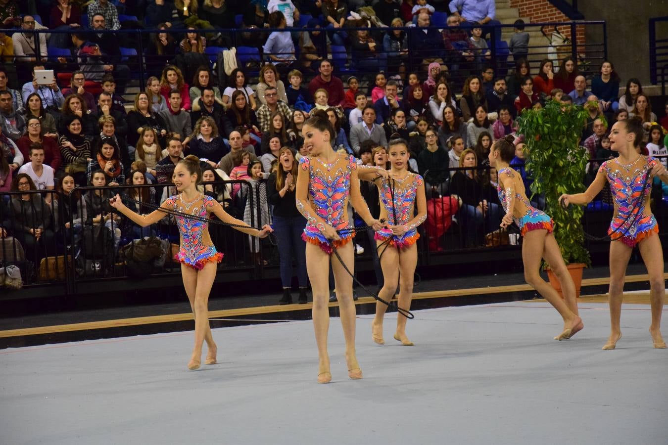 La selección de gimnasia rítimica, en Logroño