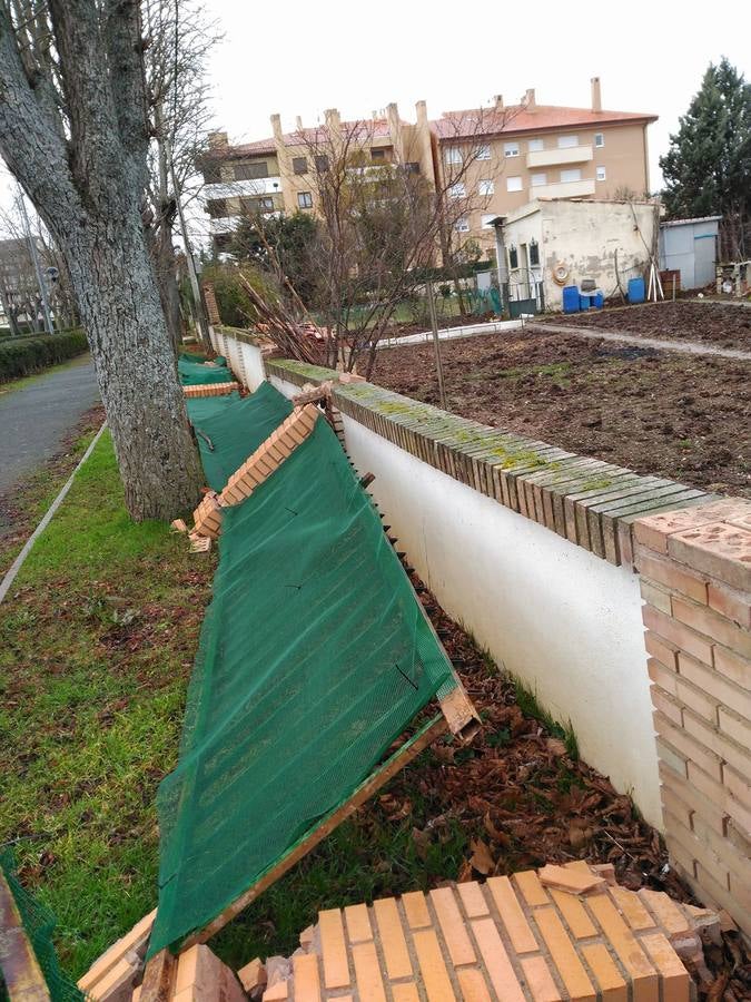 Las consecuencias del viento