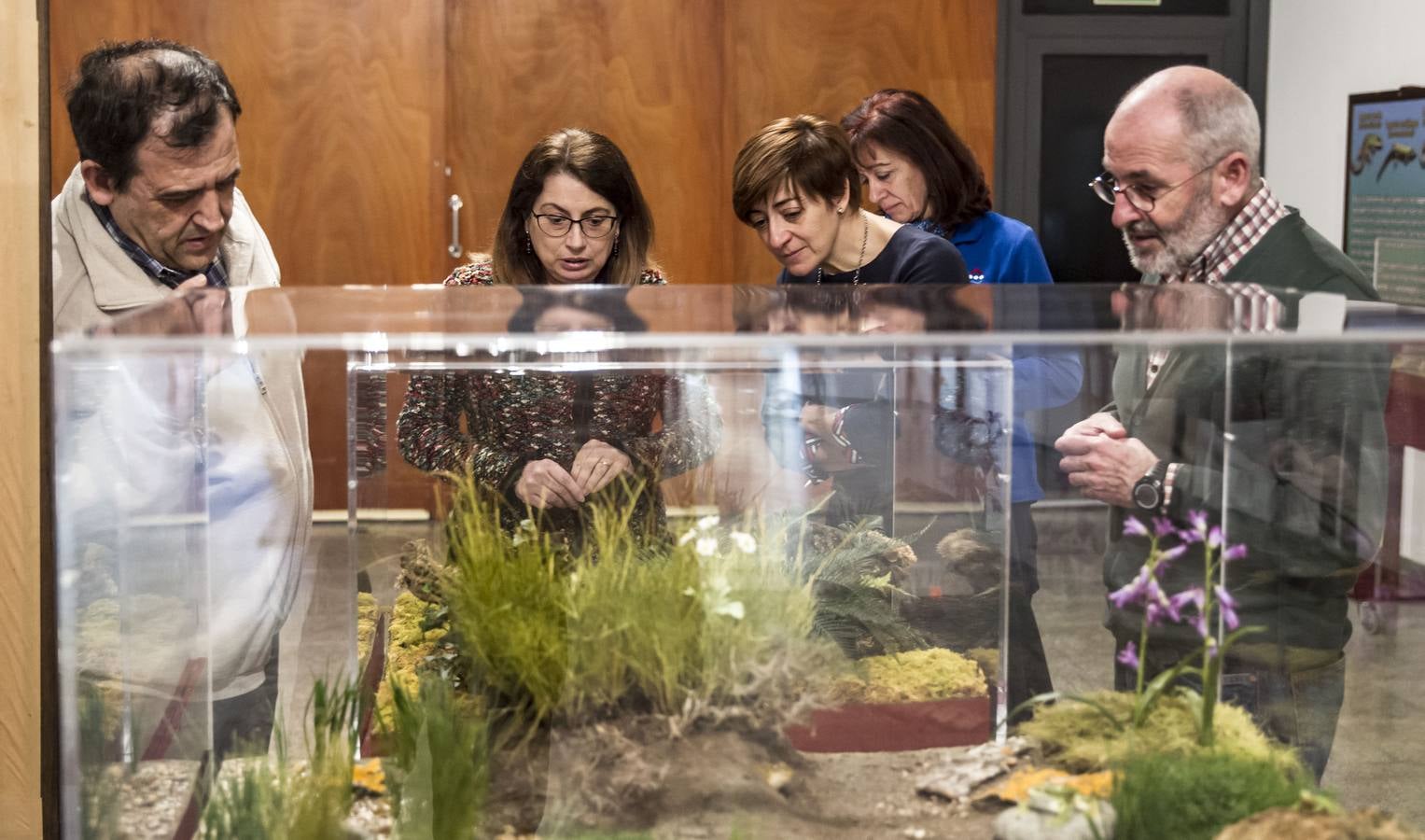 La Casa de las Ciencias expone anfibios y reptiles