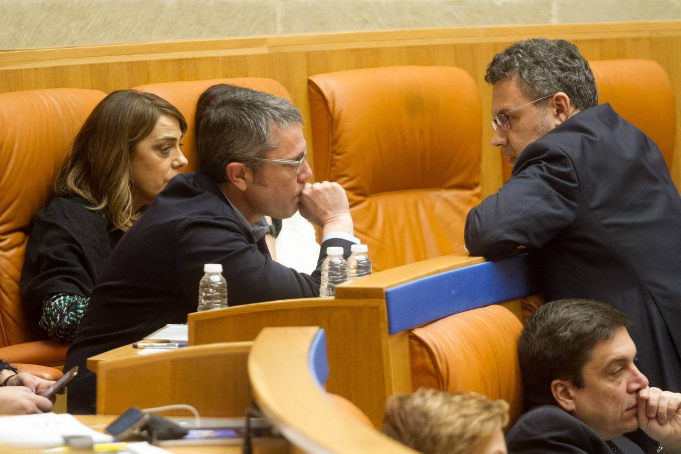 Los gestos en la sesión del Pleno del Parlamento riojano