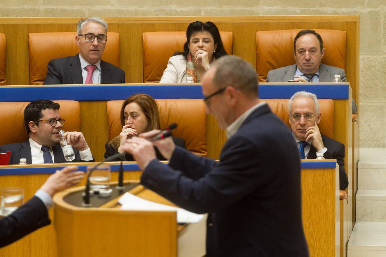 Los gestos en la sesión del Pleno del Parlamento riojano