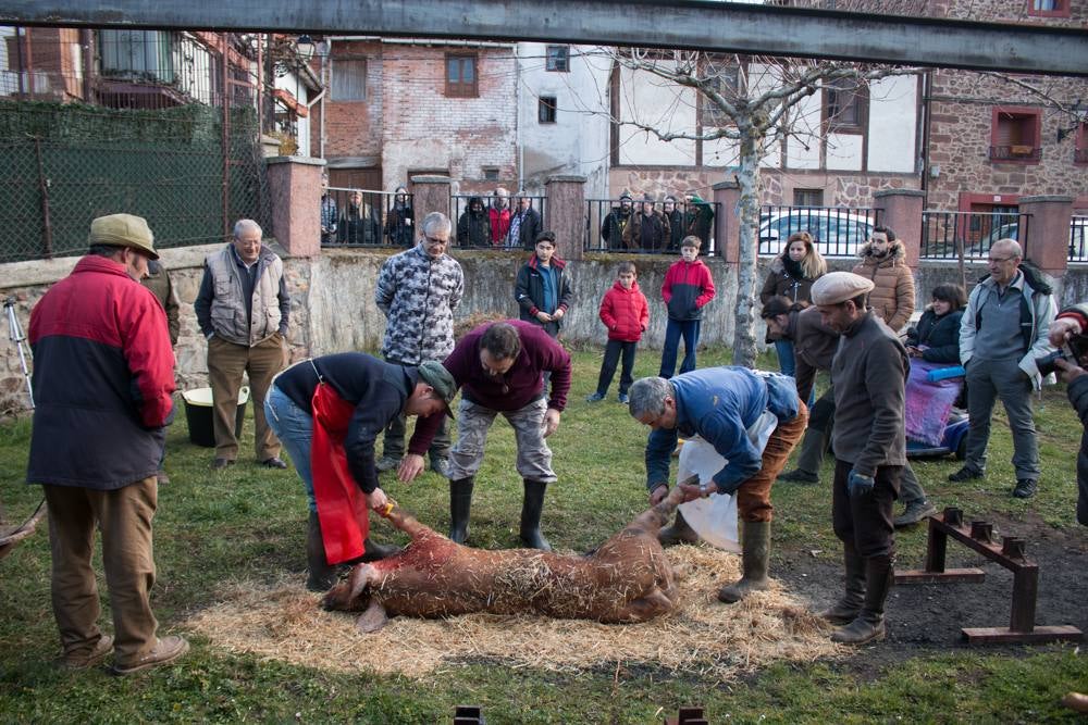 IX Jornadas de la Matanza del Cerdo en Valgañón