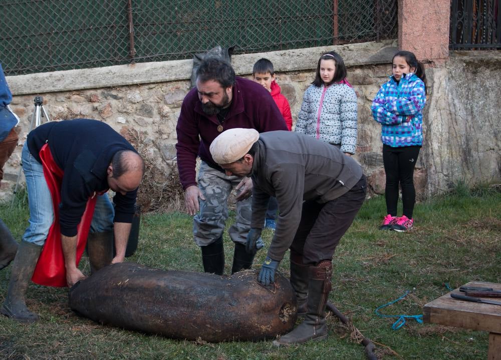 IX Jornadas de la Matanza del Cerdo en Valgañón