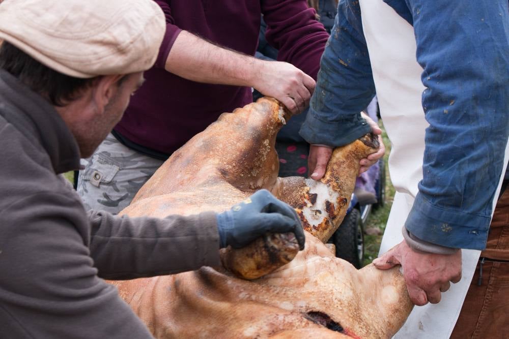 IX Jornadas de la Matanza del Cerdo en Valgañón