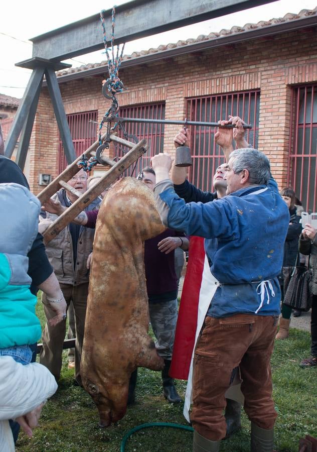 IX Jornadas de la Matanza del Cerdo en Valgañón