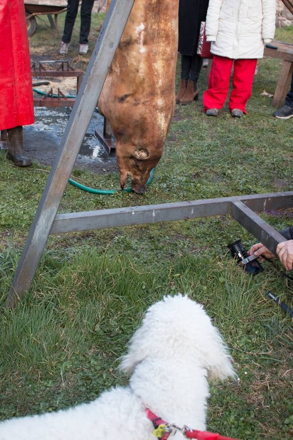 IX Jornadas de la Matanza del Cerdo en Valgañón