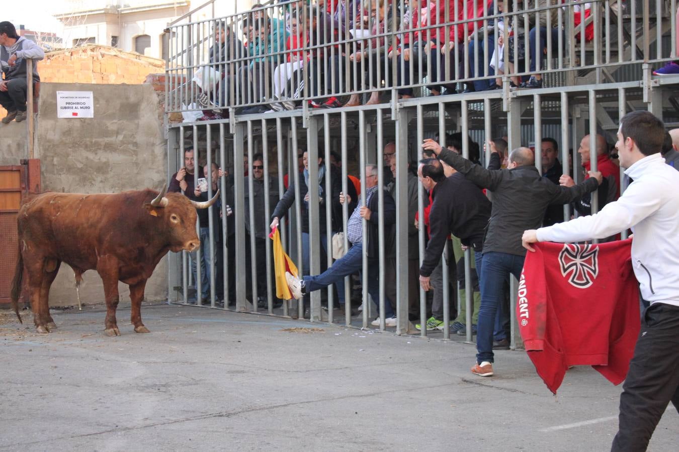 Arnedo sigue de fiesta