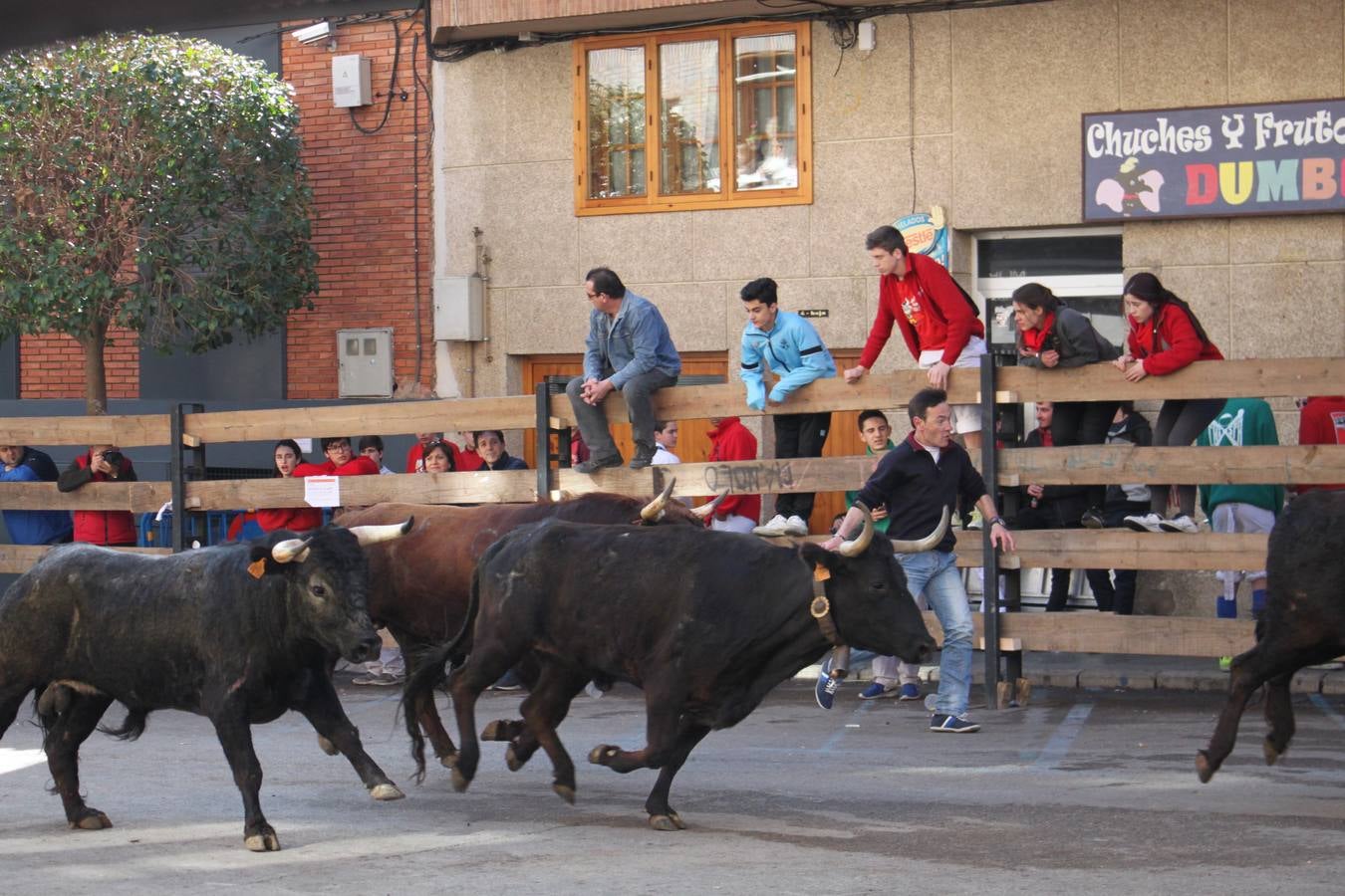 Arnedo sigue de fiesta