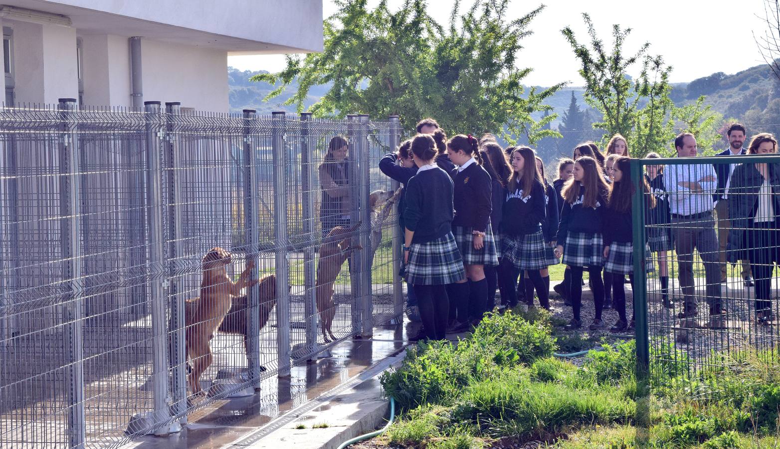 Cincuenta alumnas de Alcaste visitan el Centro de Acogida de Animales Logroño