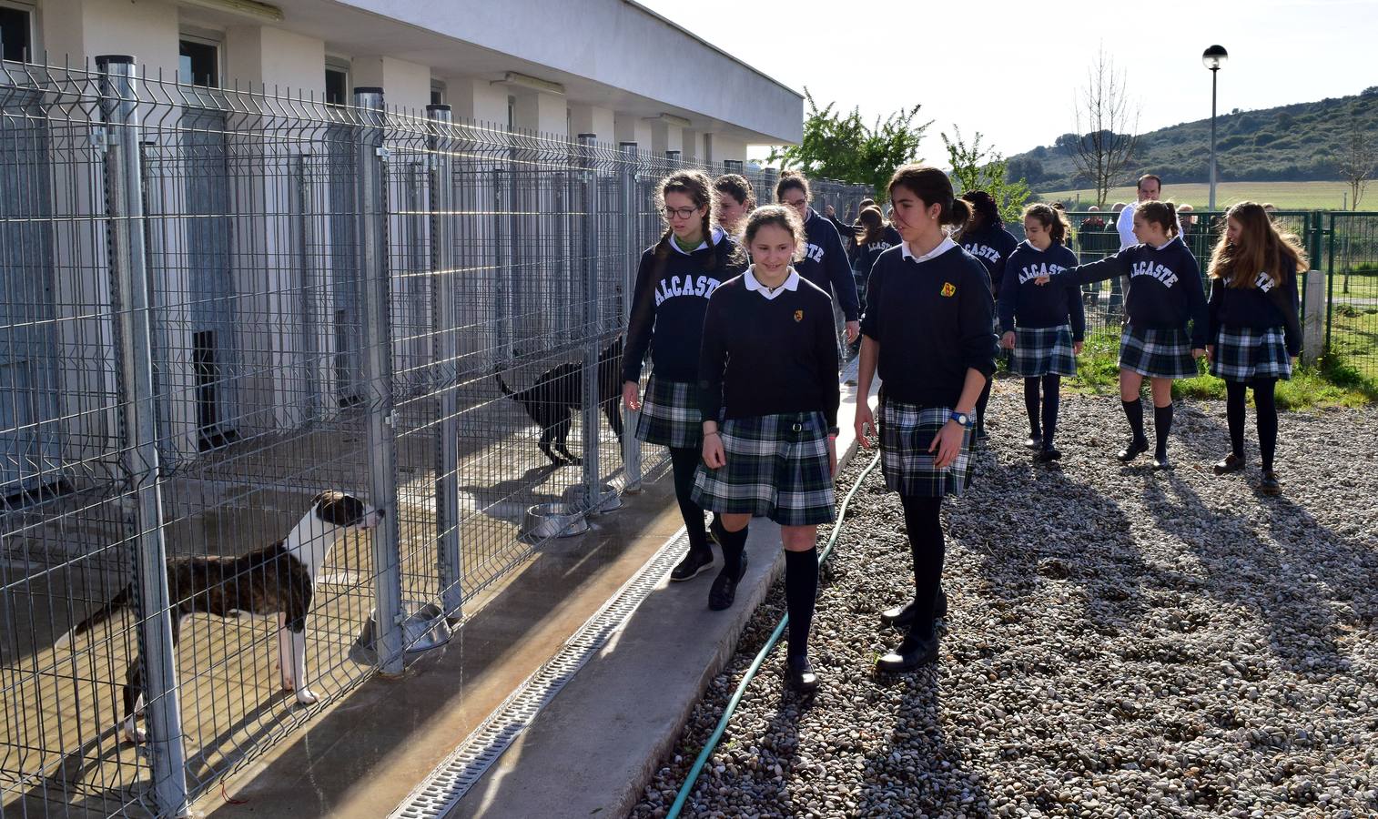 Cincuenta alumnas de Alcaste visitan el Centro de Acogida de Animales Logroño