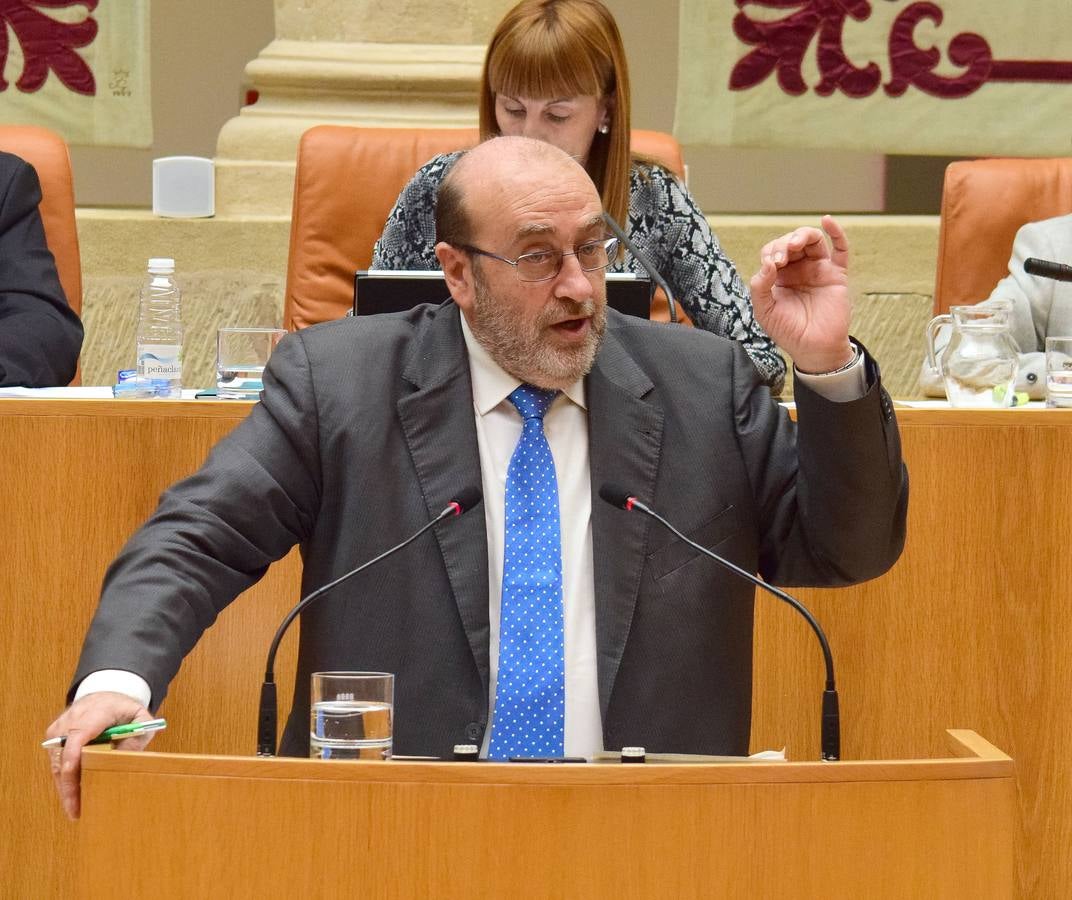 Taurinos, gestos y conversaciones en el pleno del Parlamento riojano