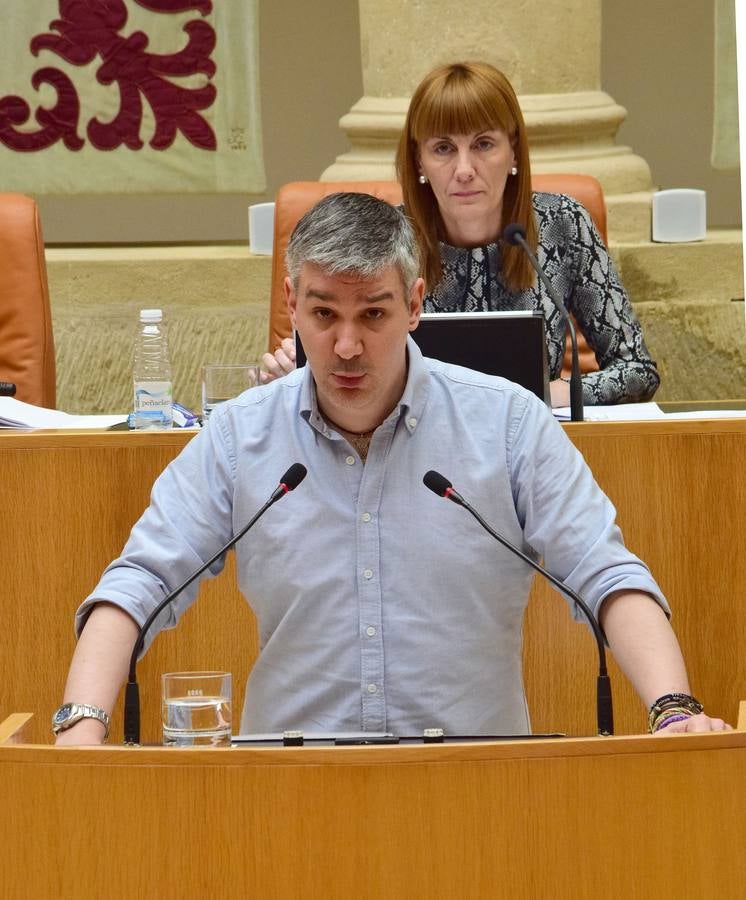 Taurinos, gestos y conversaciones en el pleno del Parlamento riojano