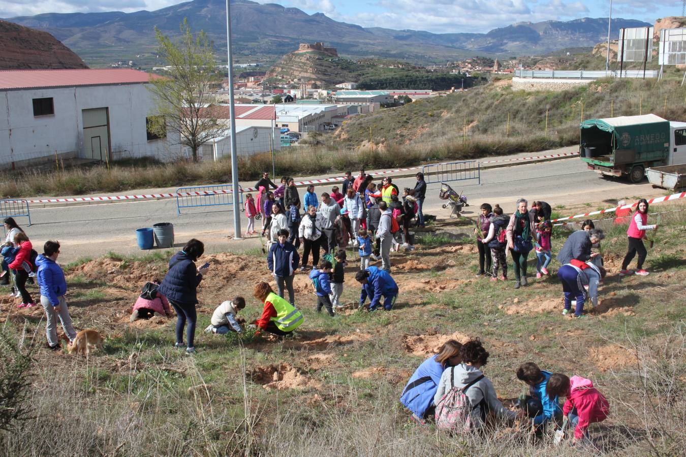 Arnedo celebra la Plantación del Día del Árbol