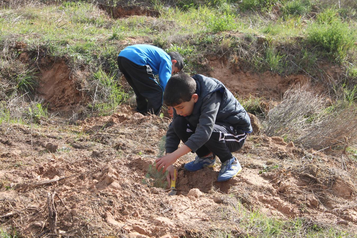 Arnedo celebra la Plantación del Día del Árbol