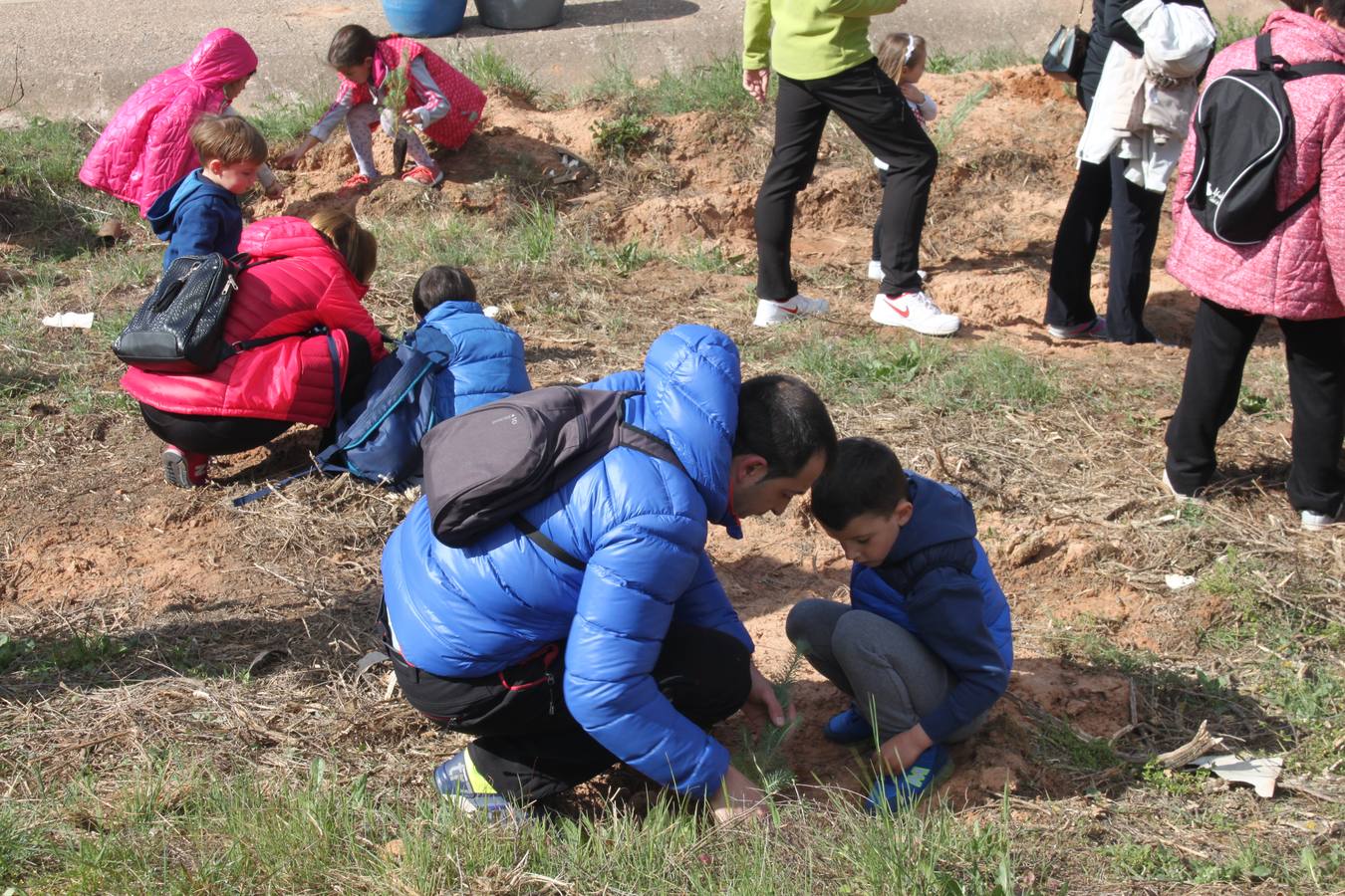 Arnedo celebra la Plantación del Día del Árbol