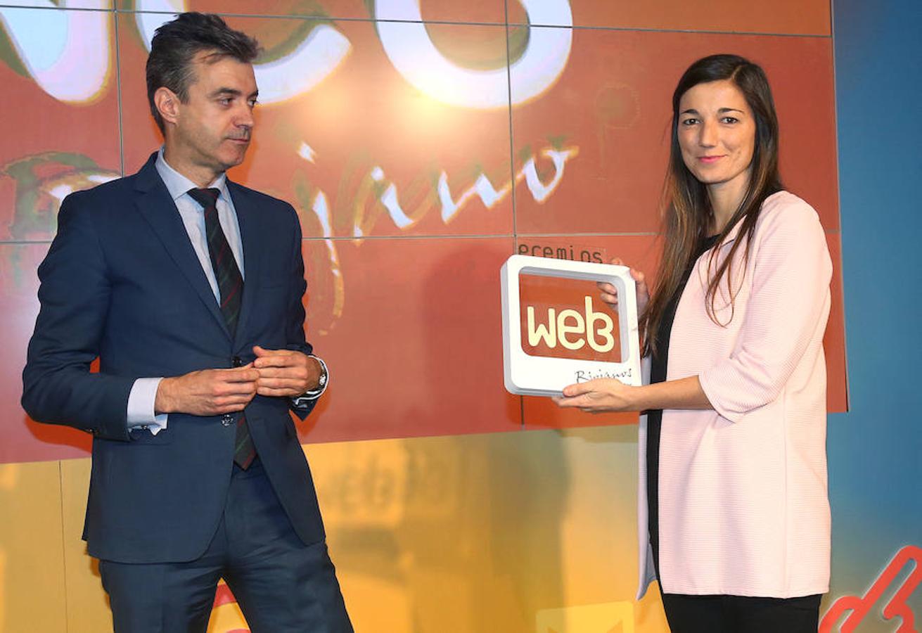 Premios Web 2017 (II)
