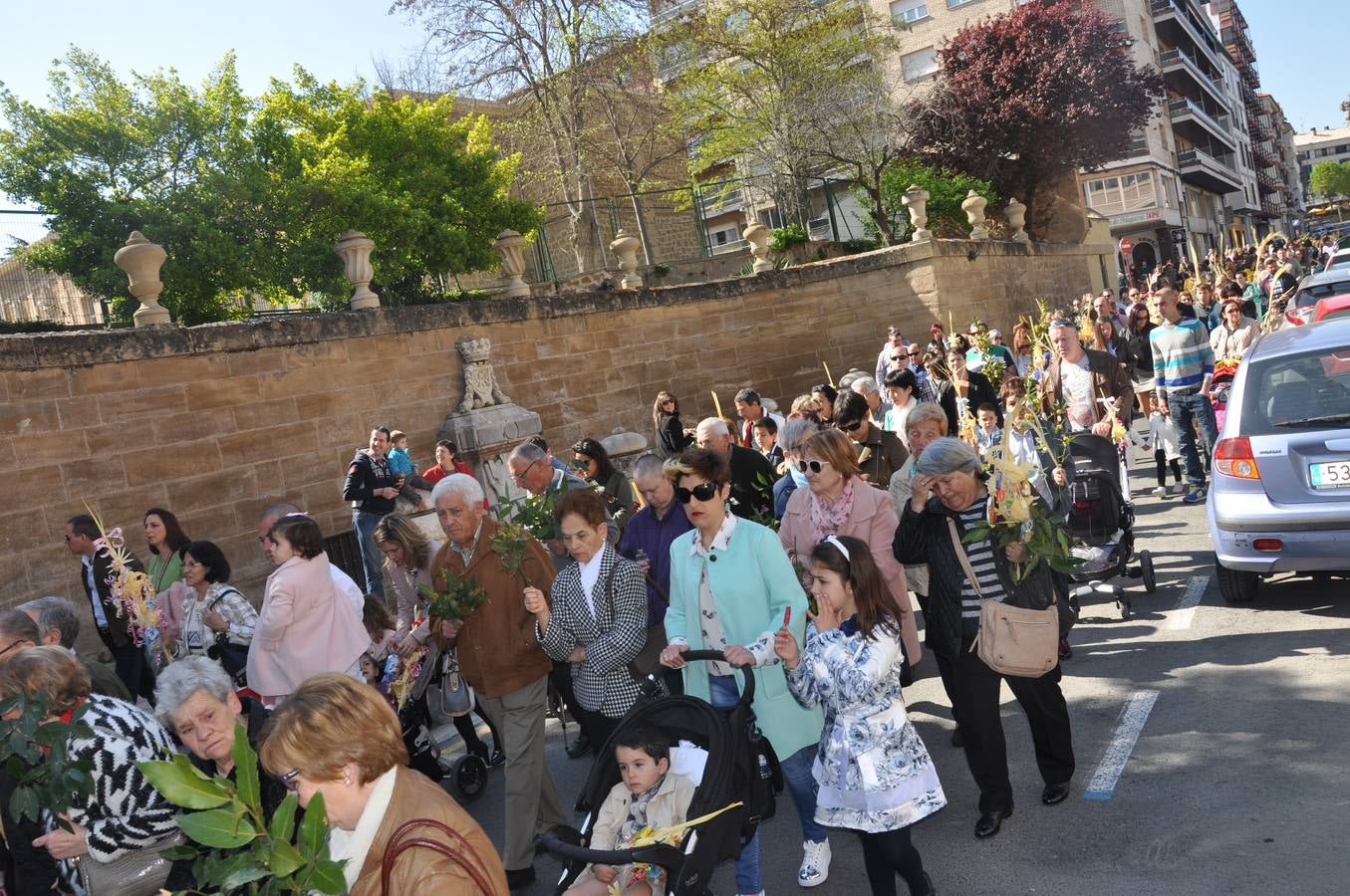 Procesión de la Borriquilla de Haro