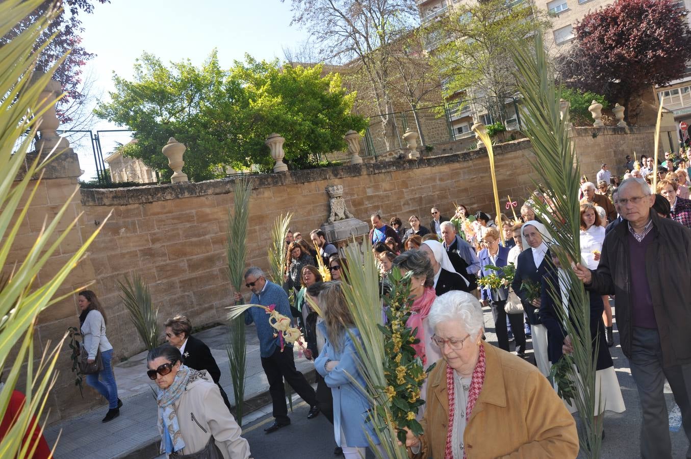 Procesión de la Borriquilla de Haro