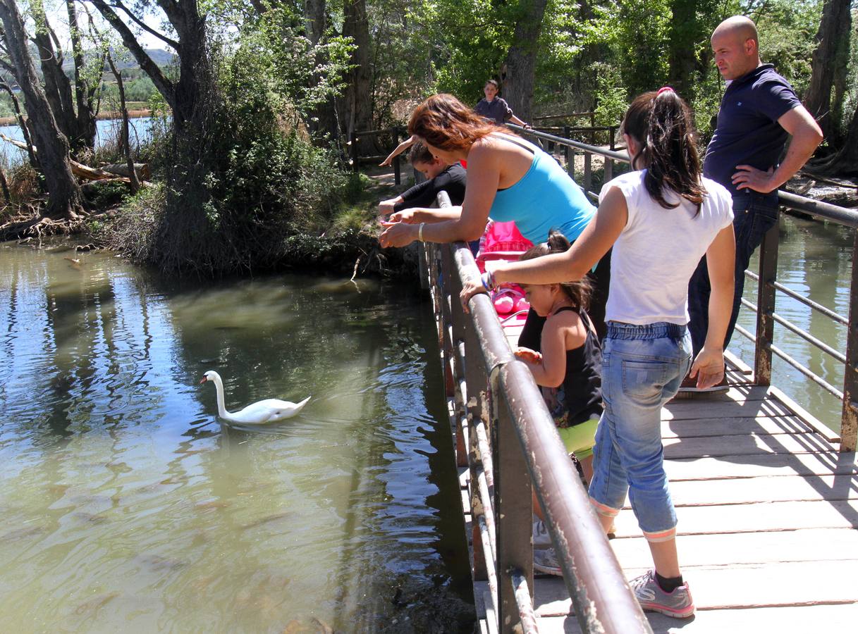 Un domingo en La Grajera