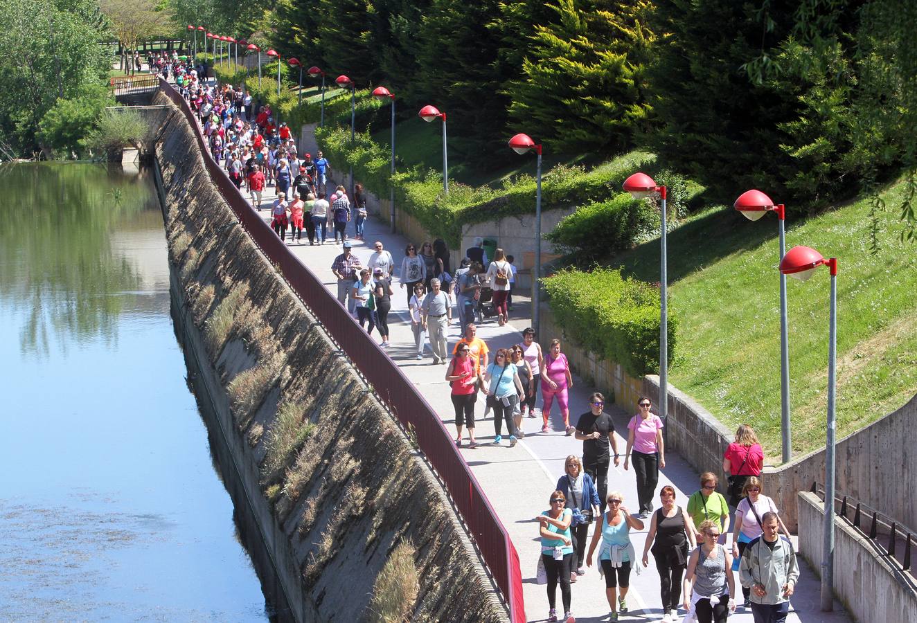 Marcha por los buenos tratos en Logroño