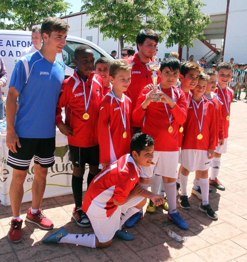 Jornada del domingo del Torneo Valle del Ebro