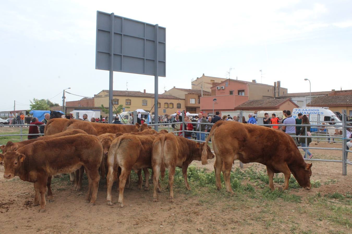 Feria de ganado en Rincón de Soto