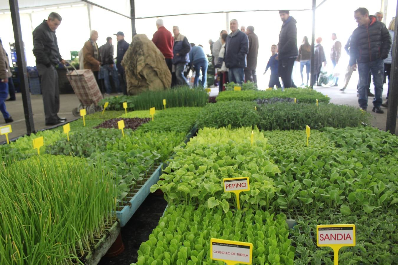 Mercado de la Verdura en Calahorra