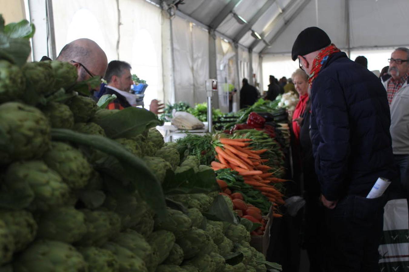 Esplendor verde en Calahorra